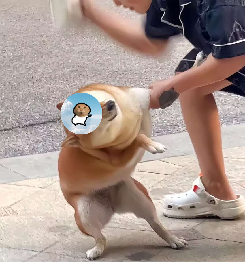 meme HitHalbert